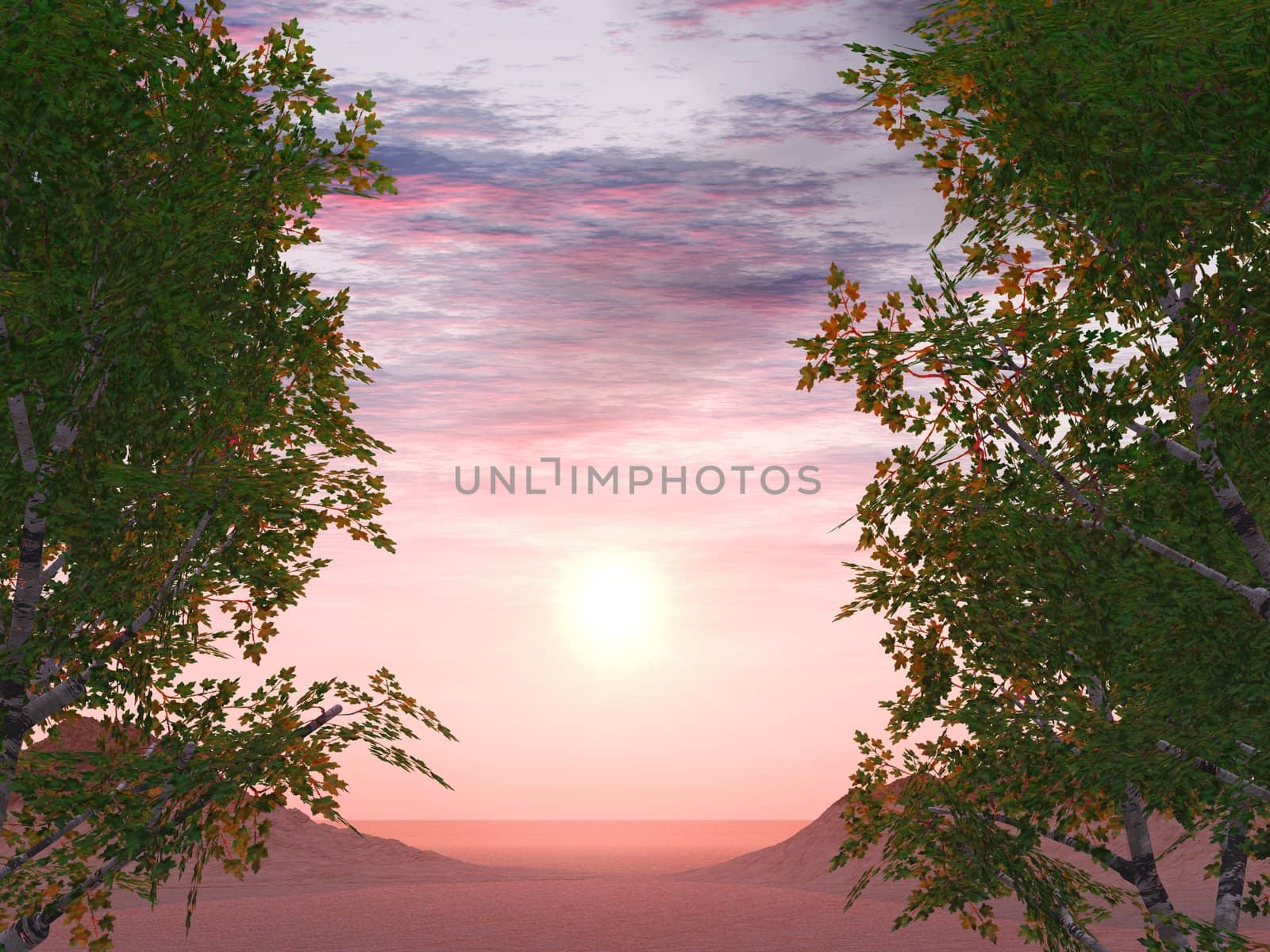 Sunset on a background of foliage of trees and two ����� in a distance