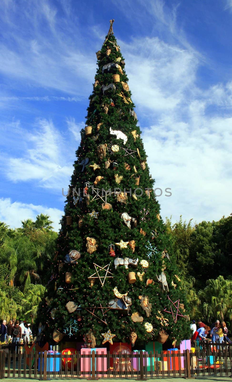 A very big christmas tree in Florida