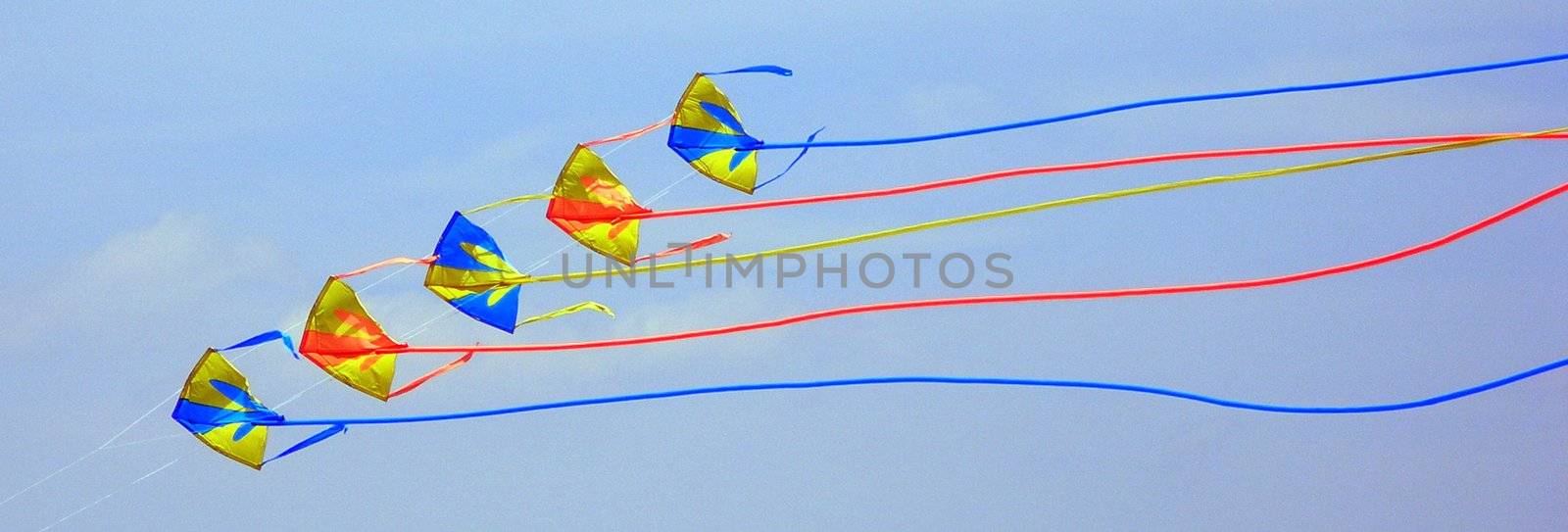 Flying Kites by quackersnaps