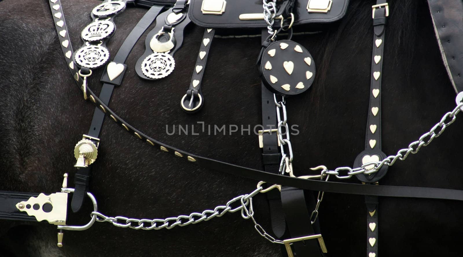 The side of the horse showing it's accessories