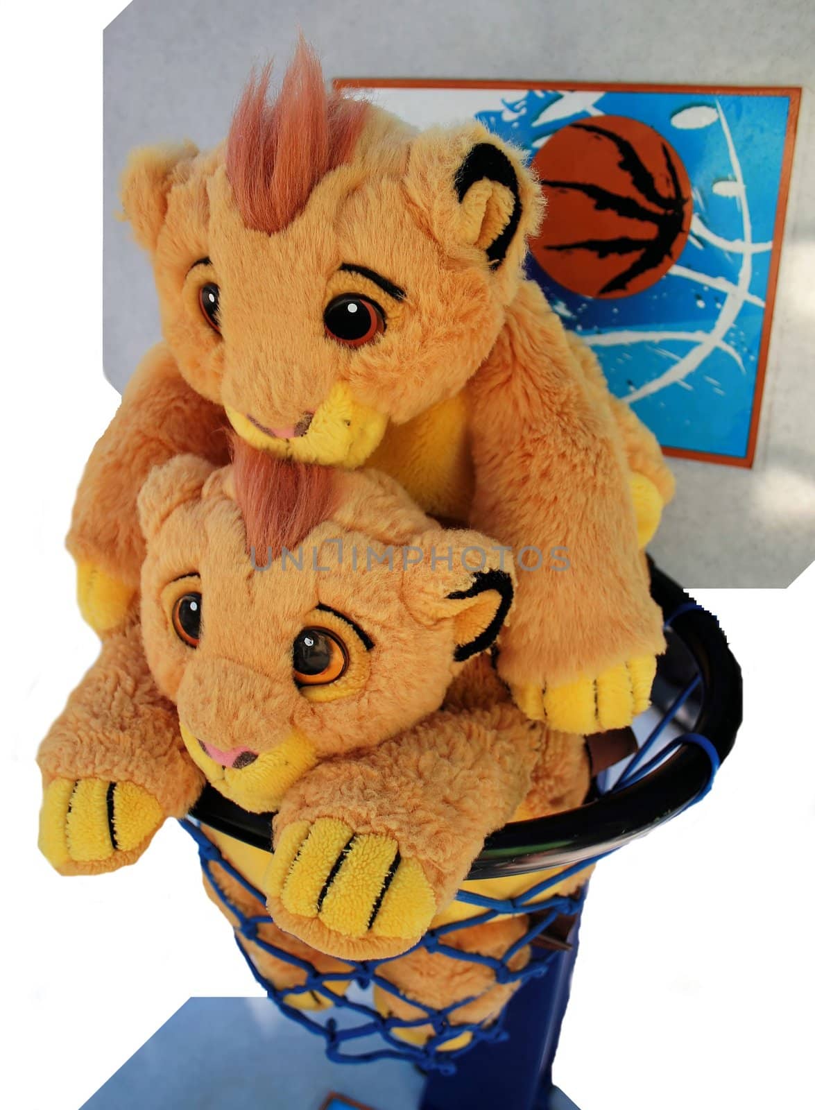 2 cute teddy backpacks in a basketball hoop.