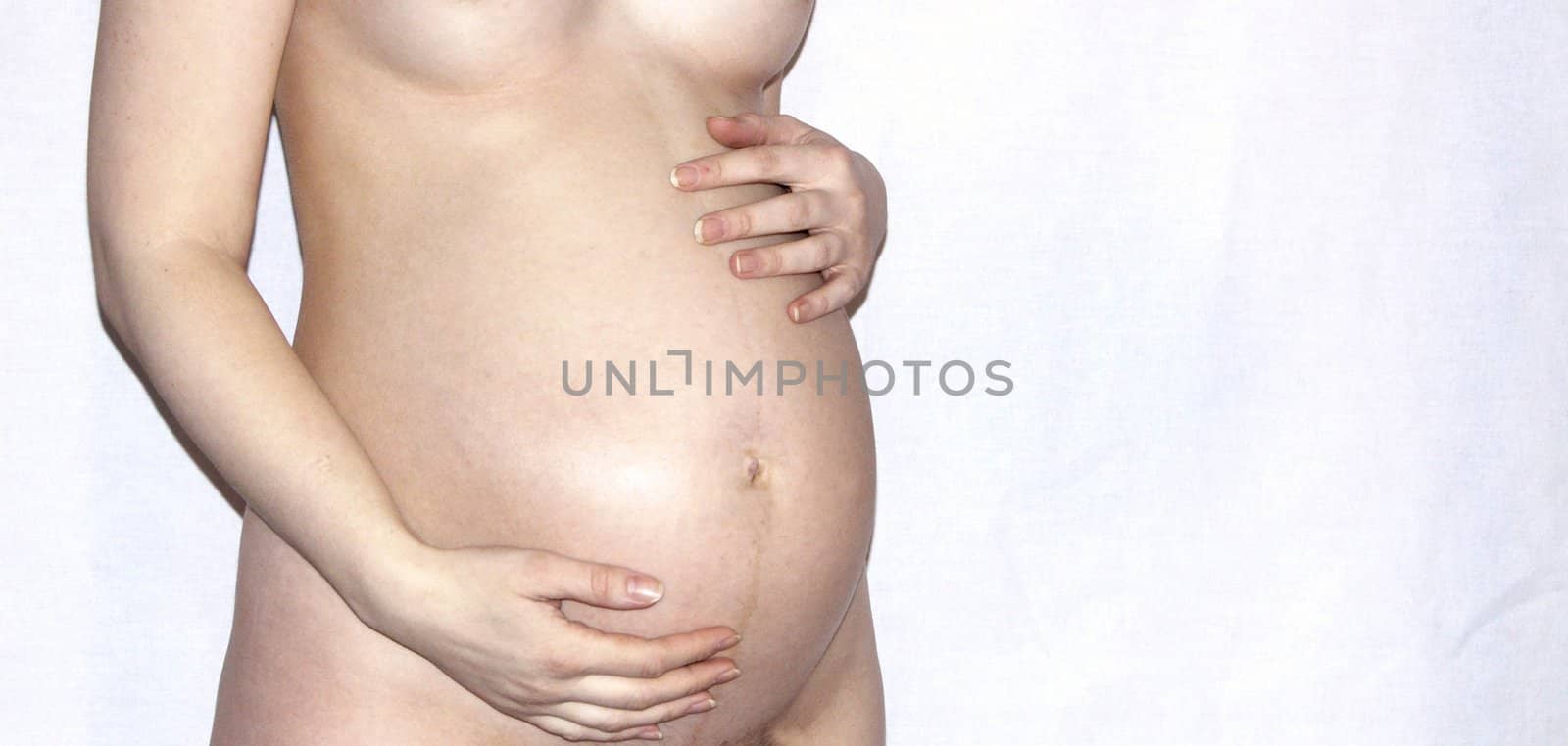 The image of a stomach of the pregnant woman