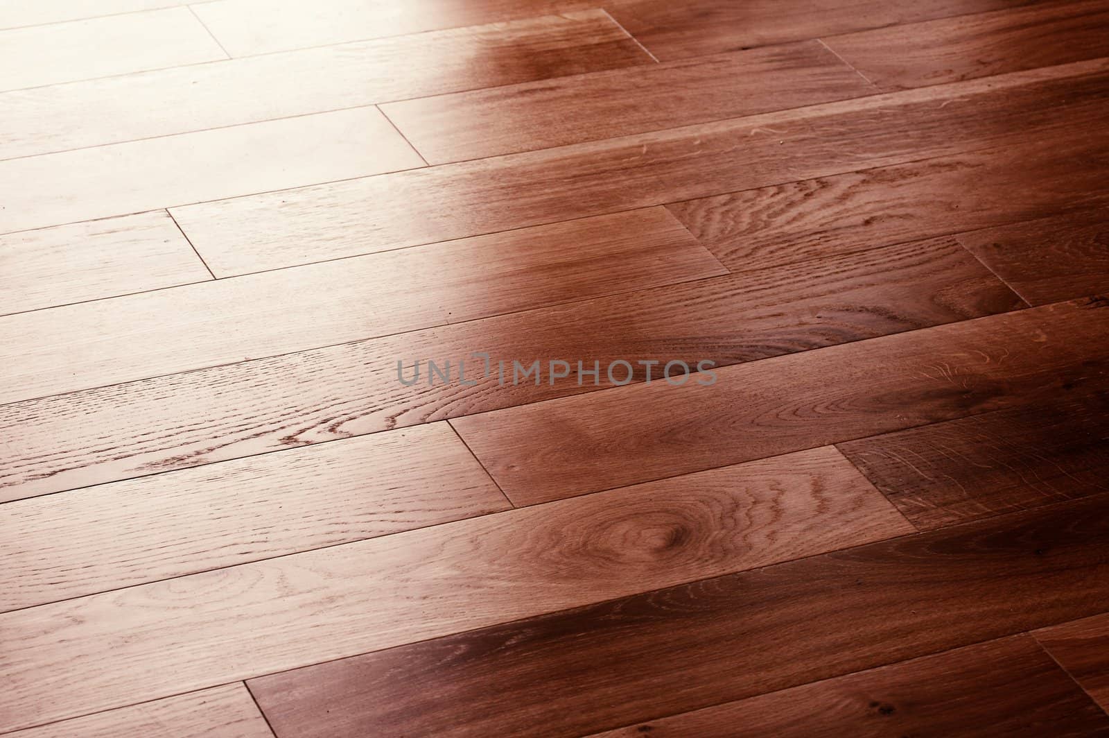 floor dark by gjdisplay