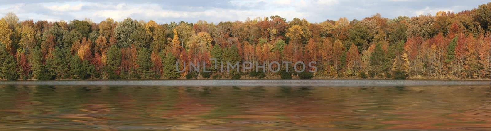 a panorama picture of fall trees over water