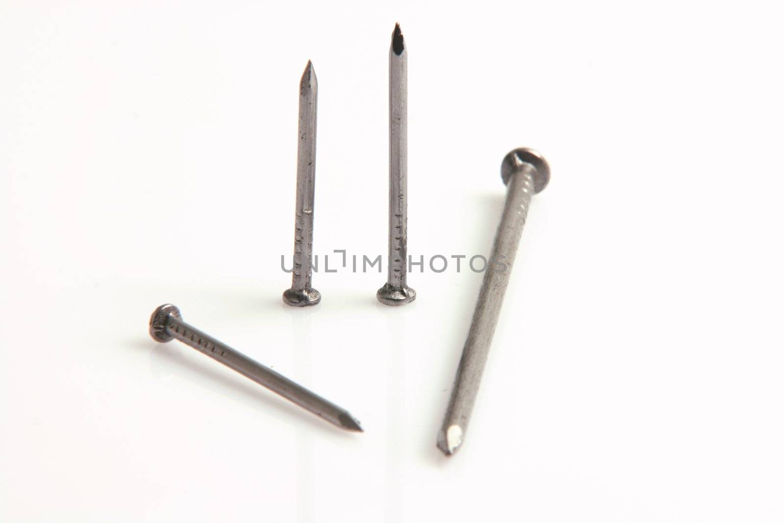metalic construction nails closeup isolated on white background