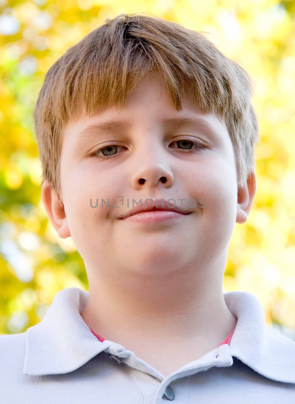 The serious little boy against yellow leaves