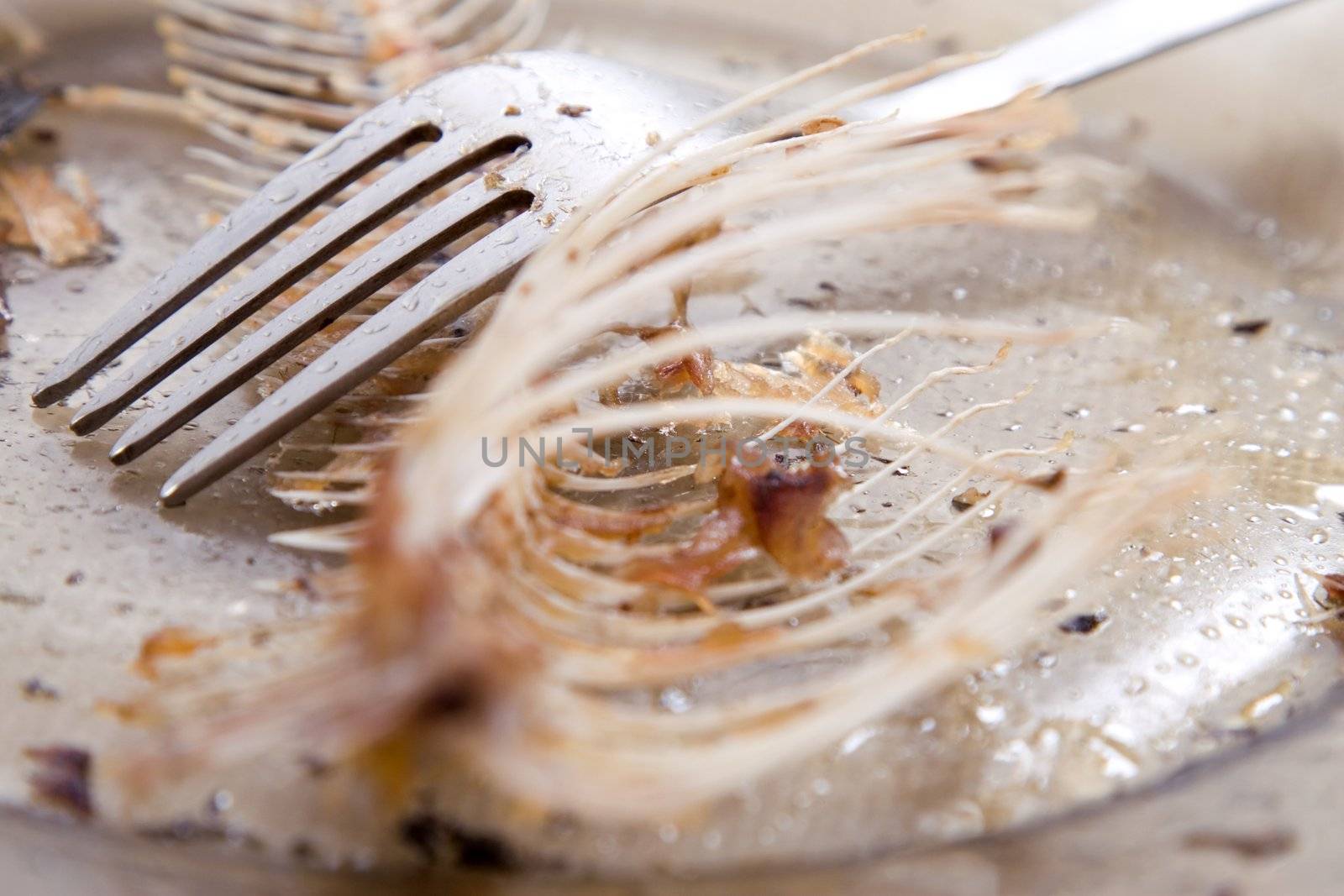 fishbones on  plate