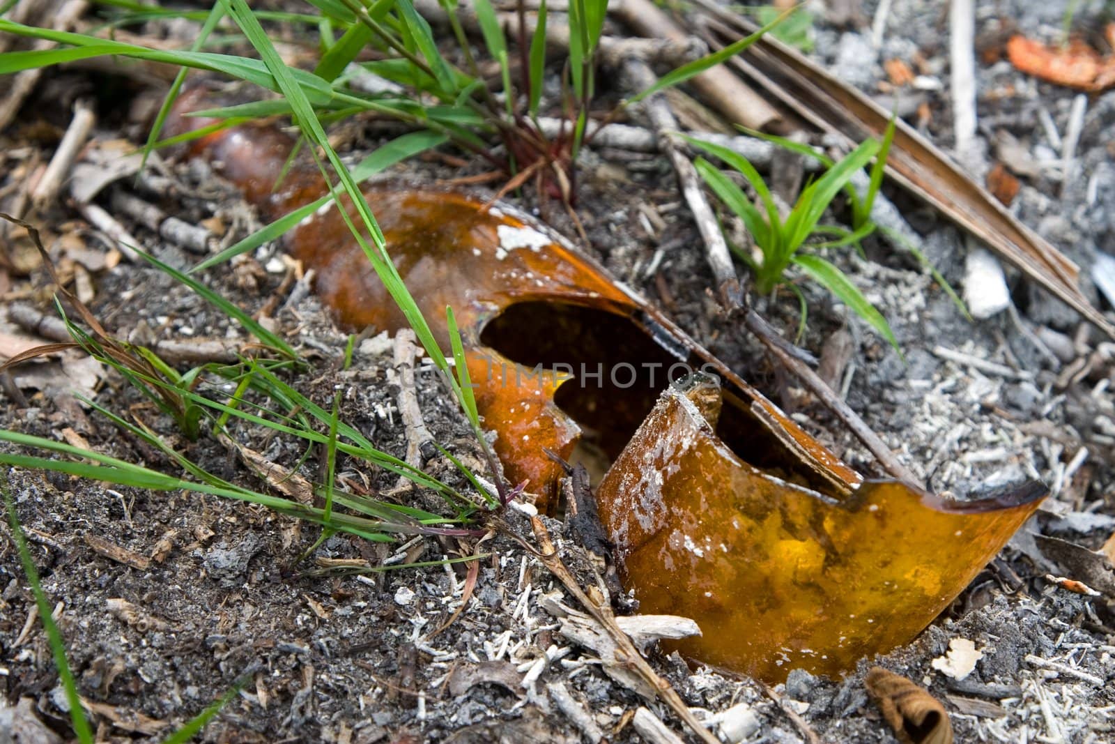 broken bottle in earth