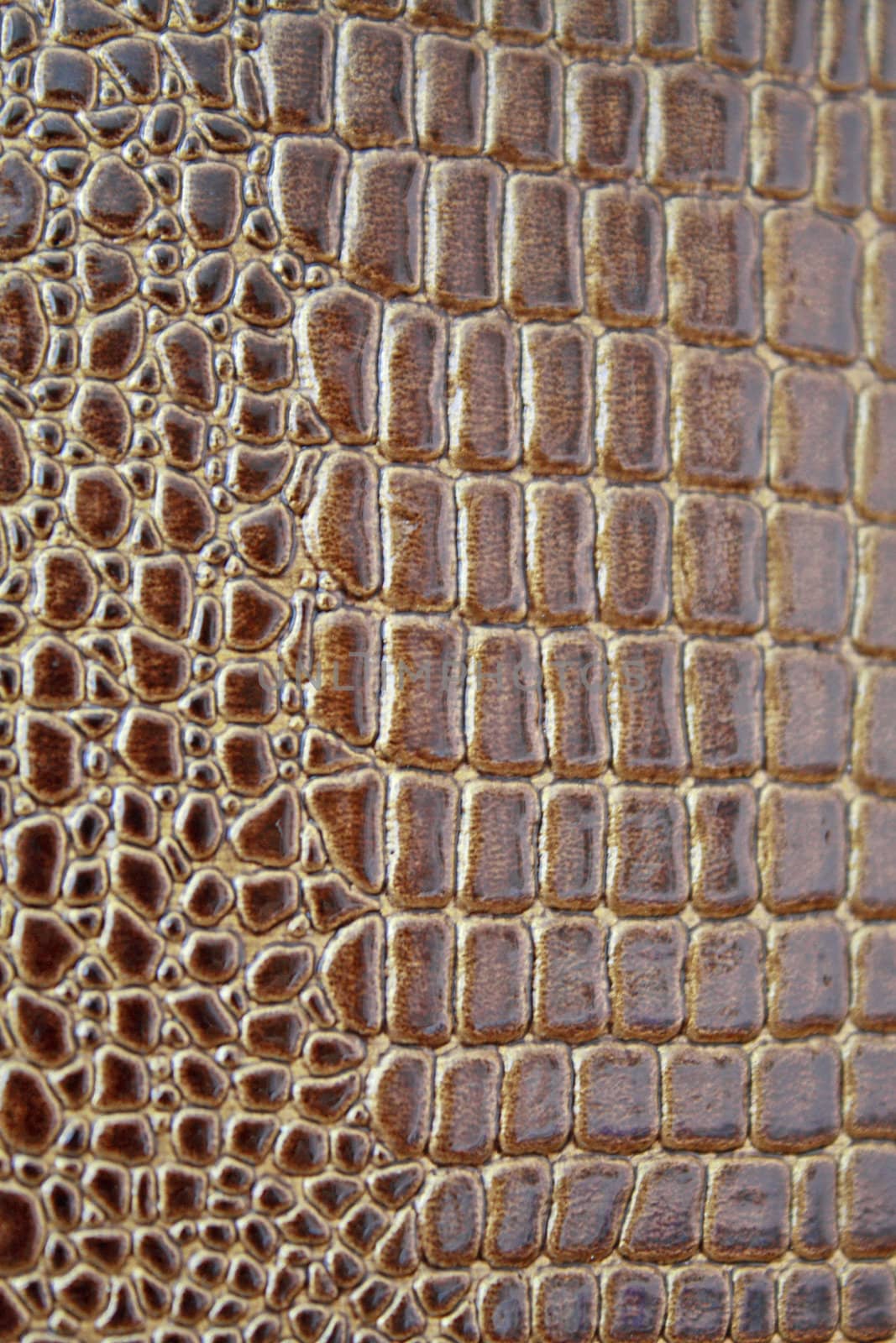 Close up of the artificial crocodile leather