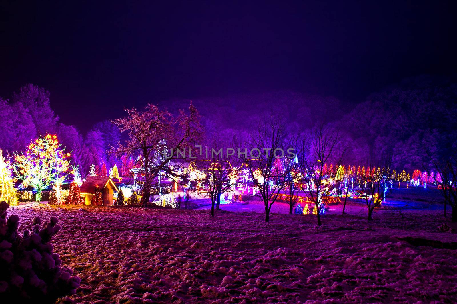 Christmas village in the forrest valley by xbrchx