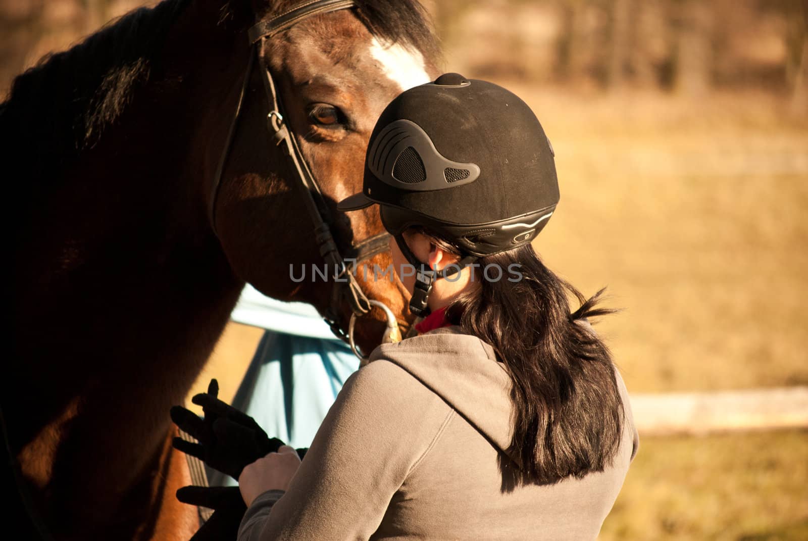 horse rider on his horse by RobertHardy