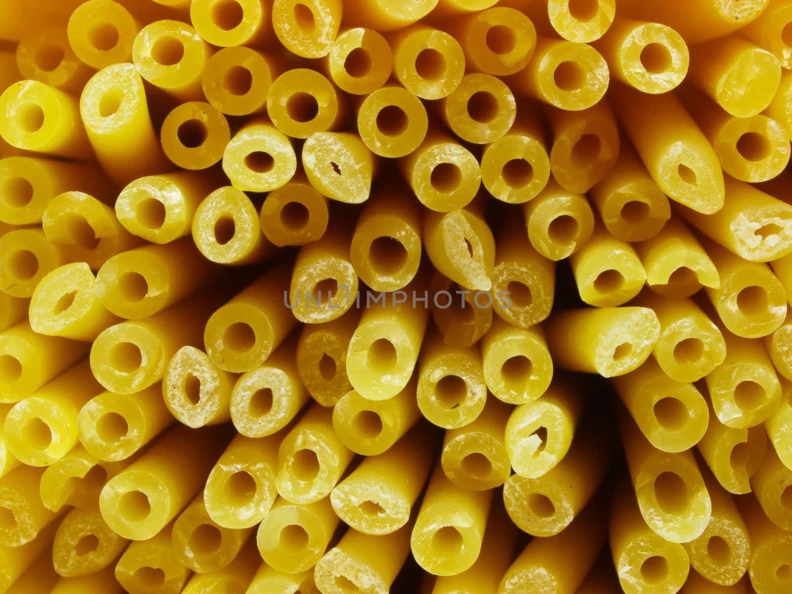 bucatini spaghetti noodles food background