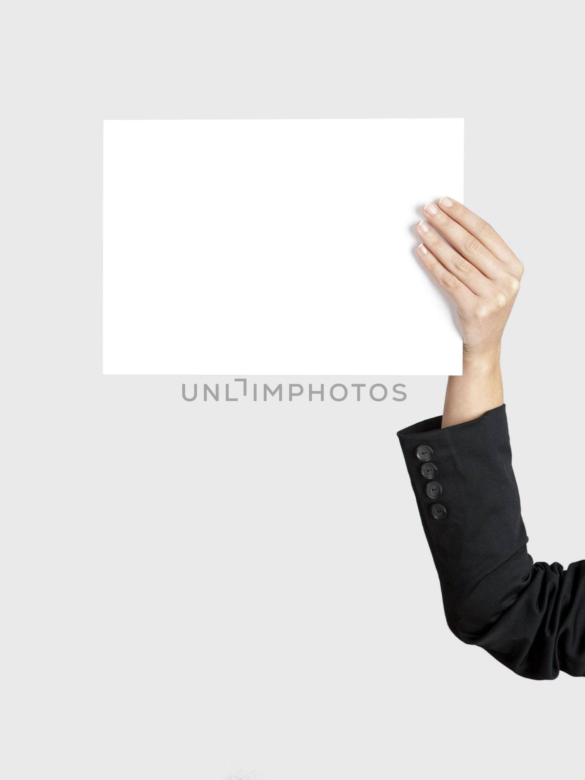 Female hand holding a blank paper sheet