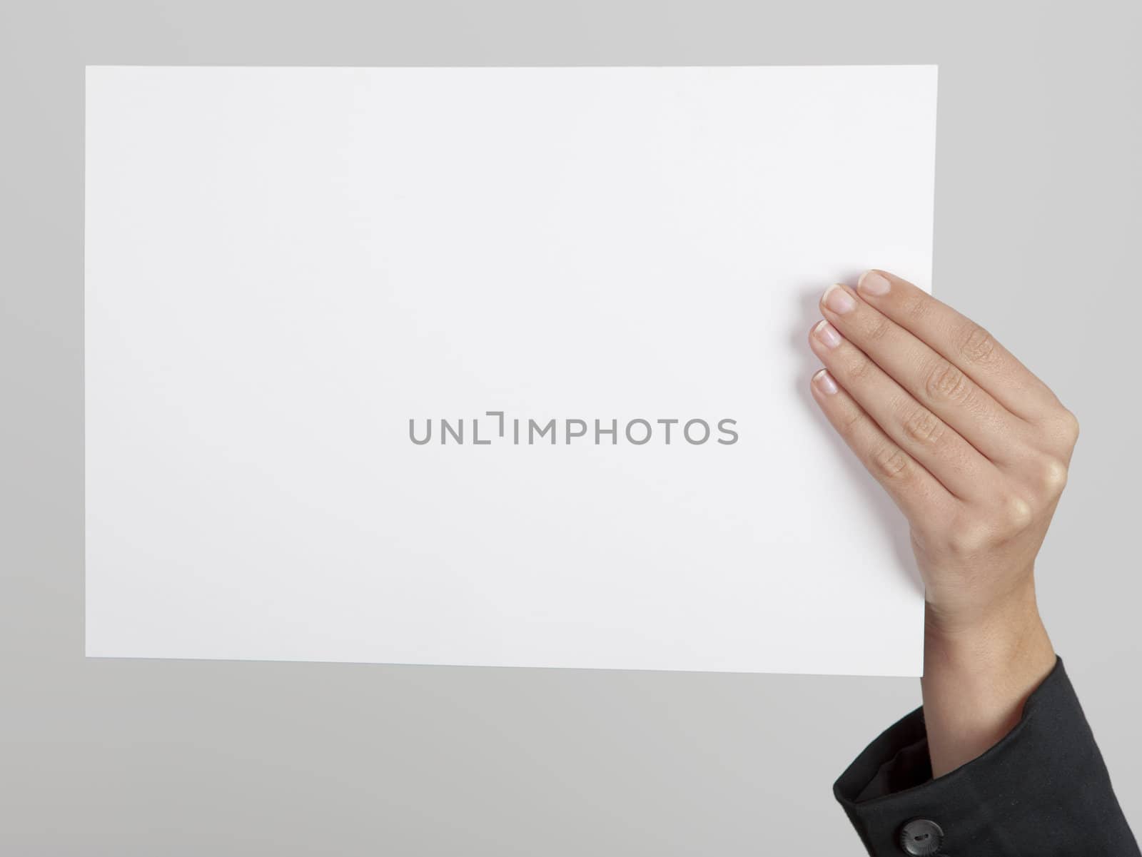 Female hand holding a blank paper sheet