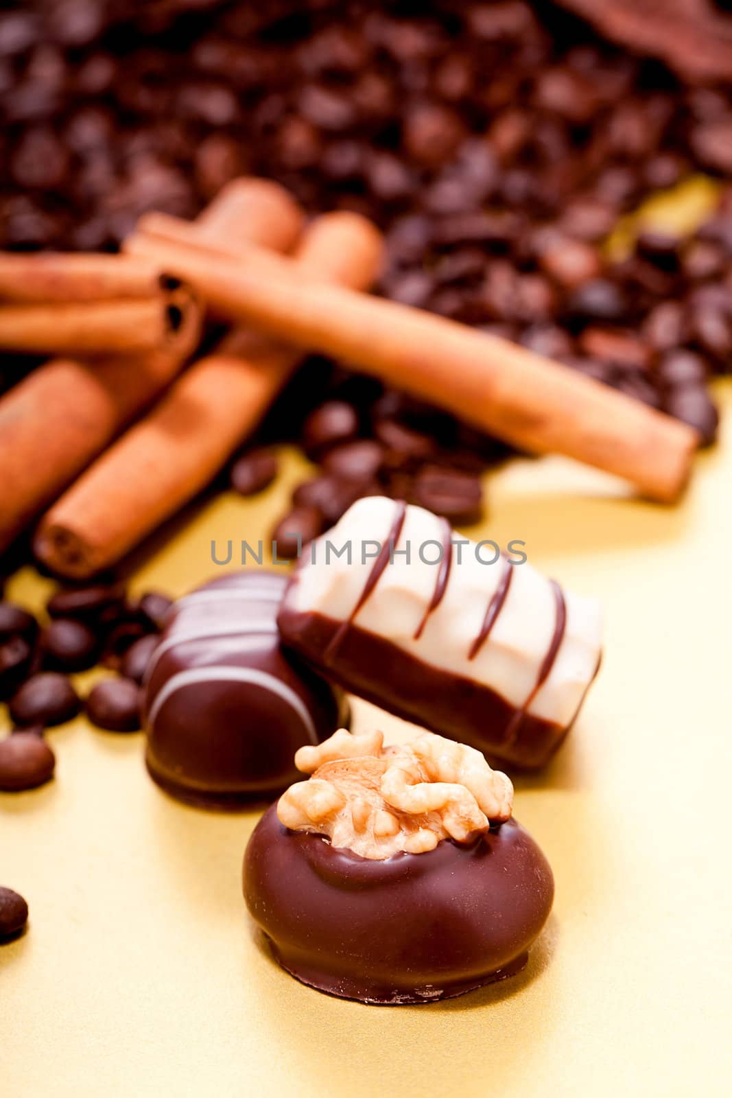 collection of different chocolate pralines truffels on golden brown background macro