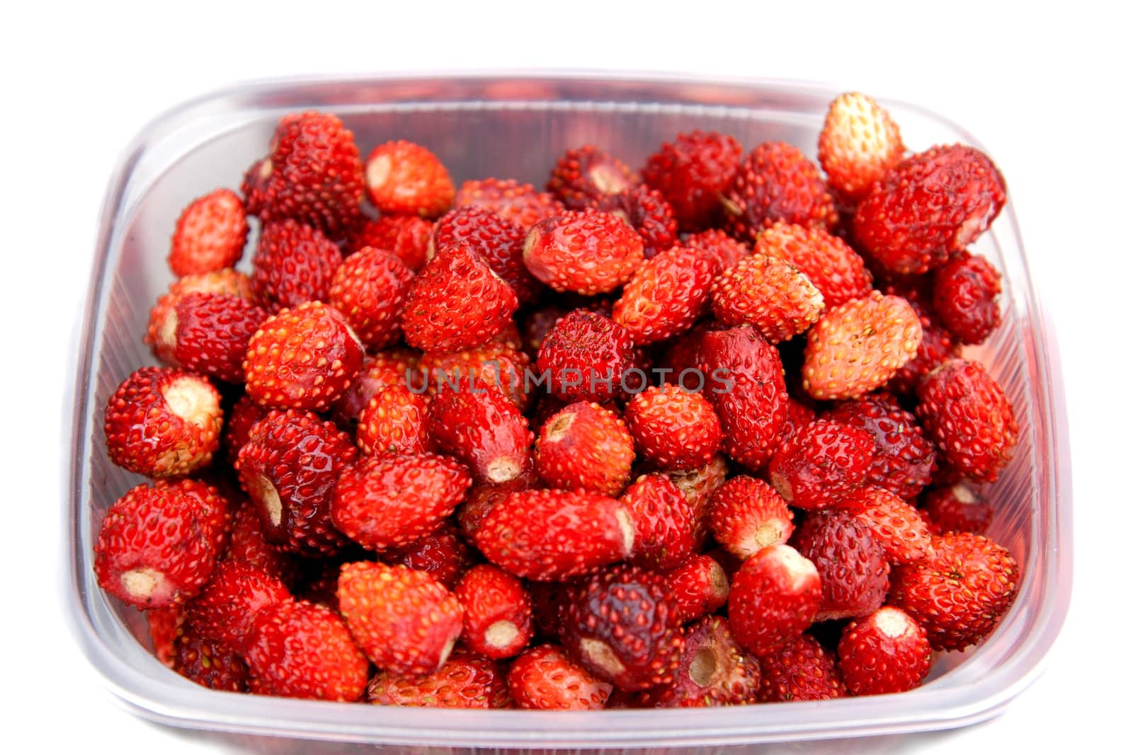 Fresh Wild strawberriesin a box