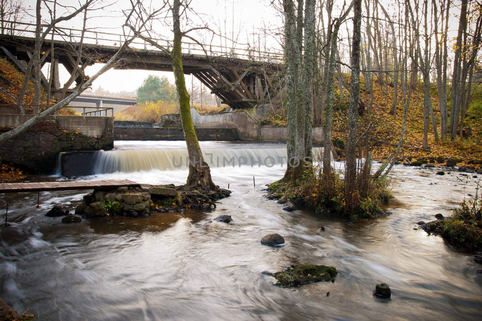 Old wooden bridge and river in a forest