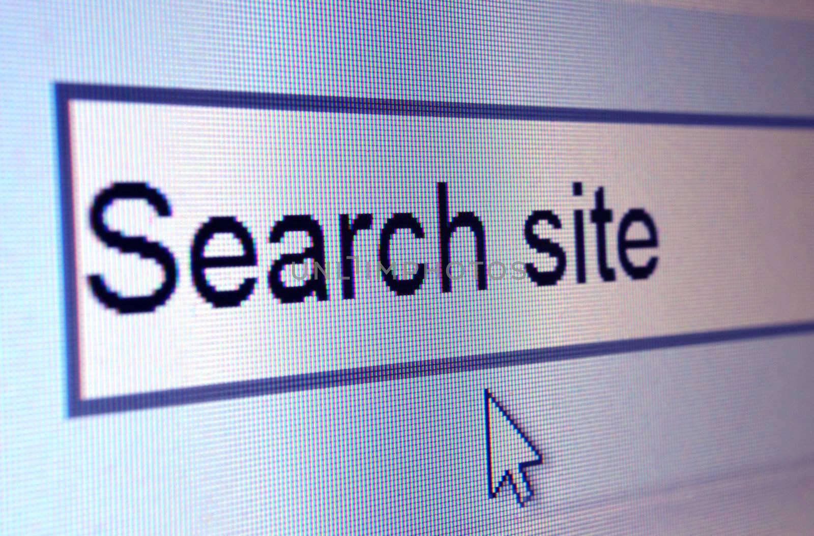 Computer screen showing Search Site. Internal website search engine