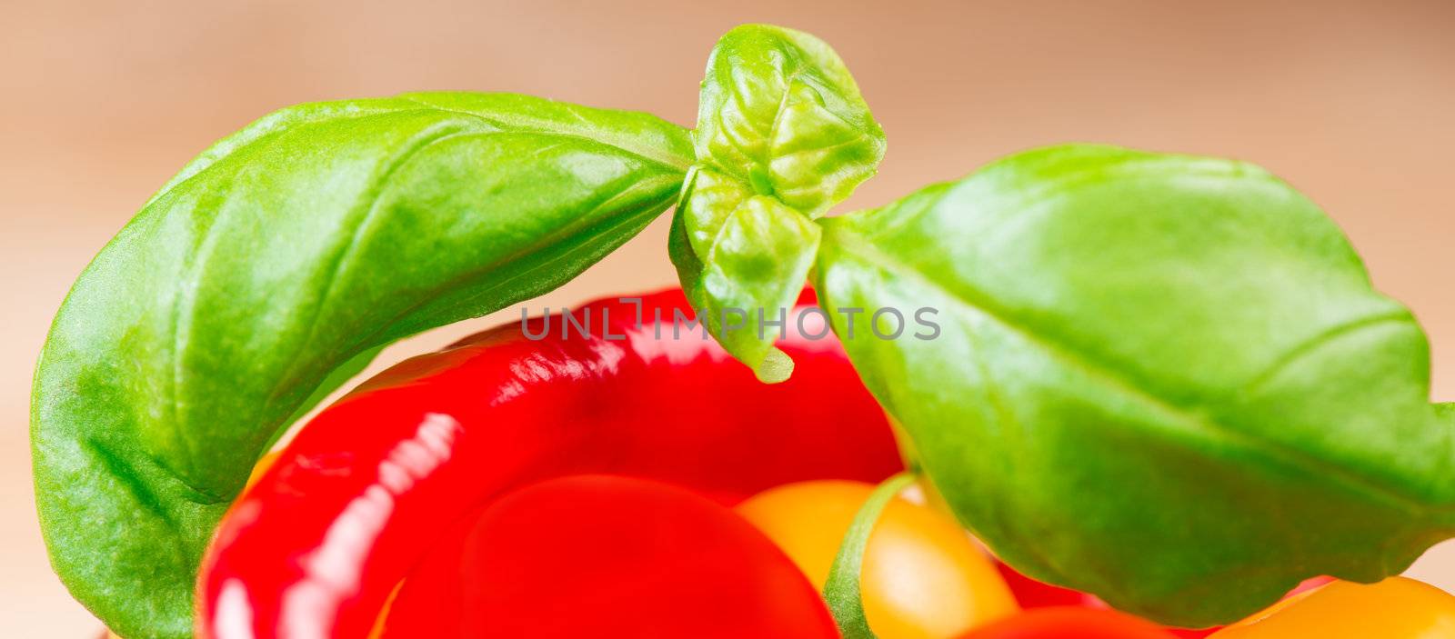 basil leafs with cherry tomatoes and chili pepper close up by Nanisimova