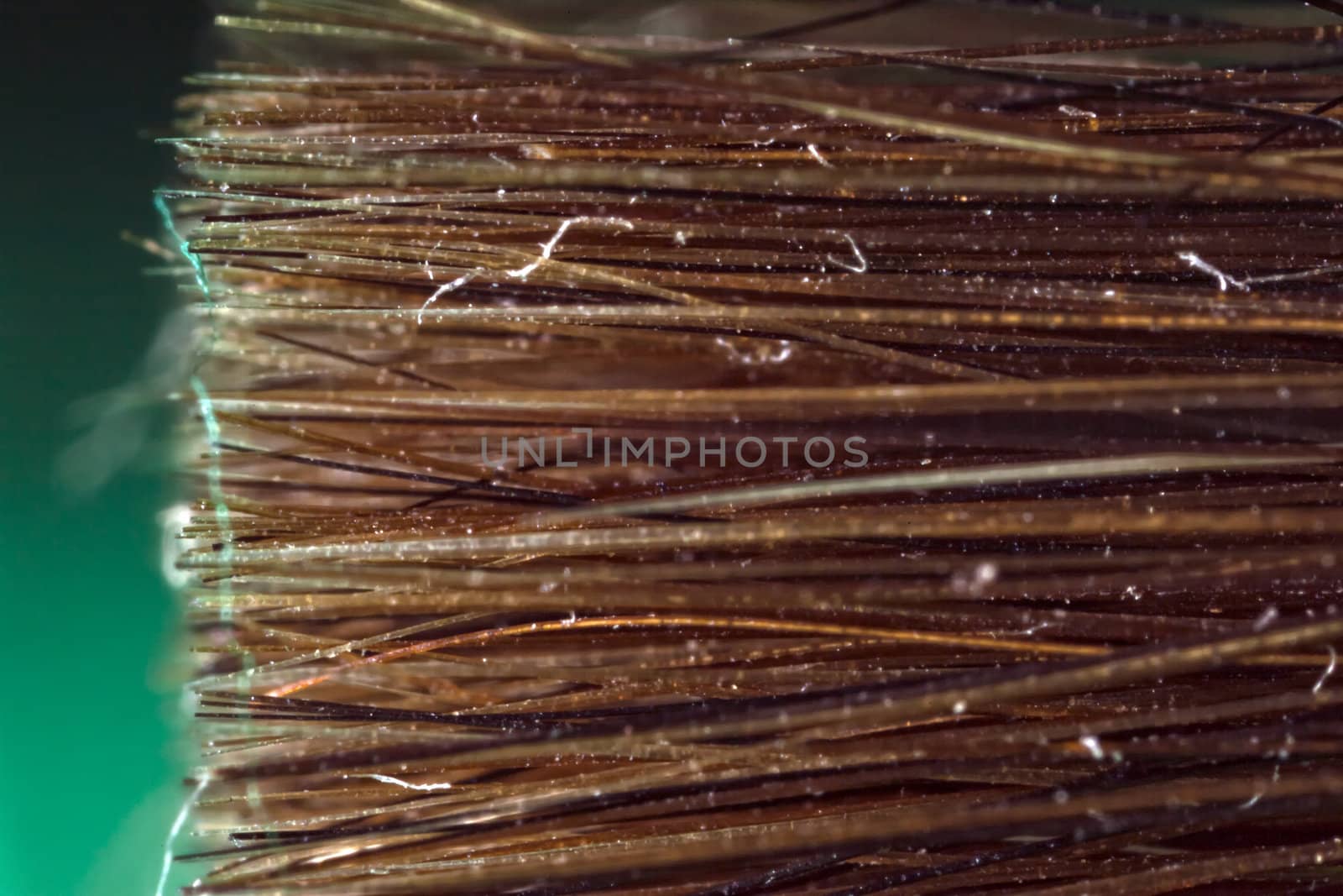 Macro detail shot of the bristles on an artist's paintbrush at 5 times real life size