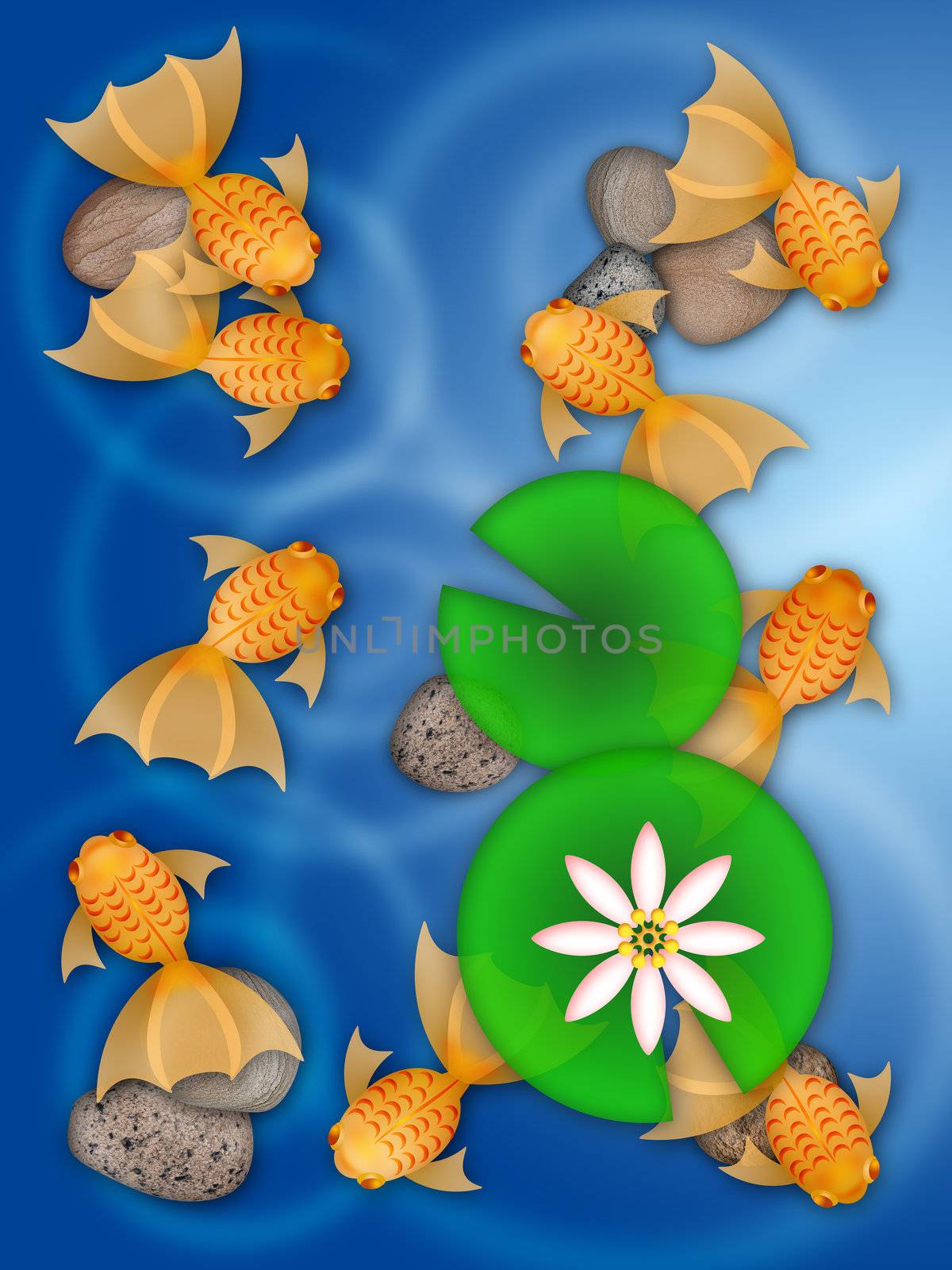 Fancy Goldfish Swimming in Pond with Lily Pad Flower and Pebbles Illustration