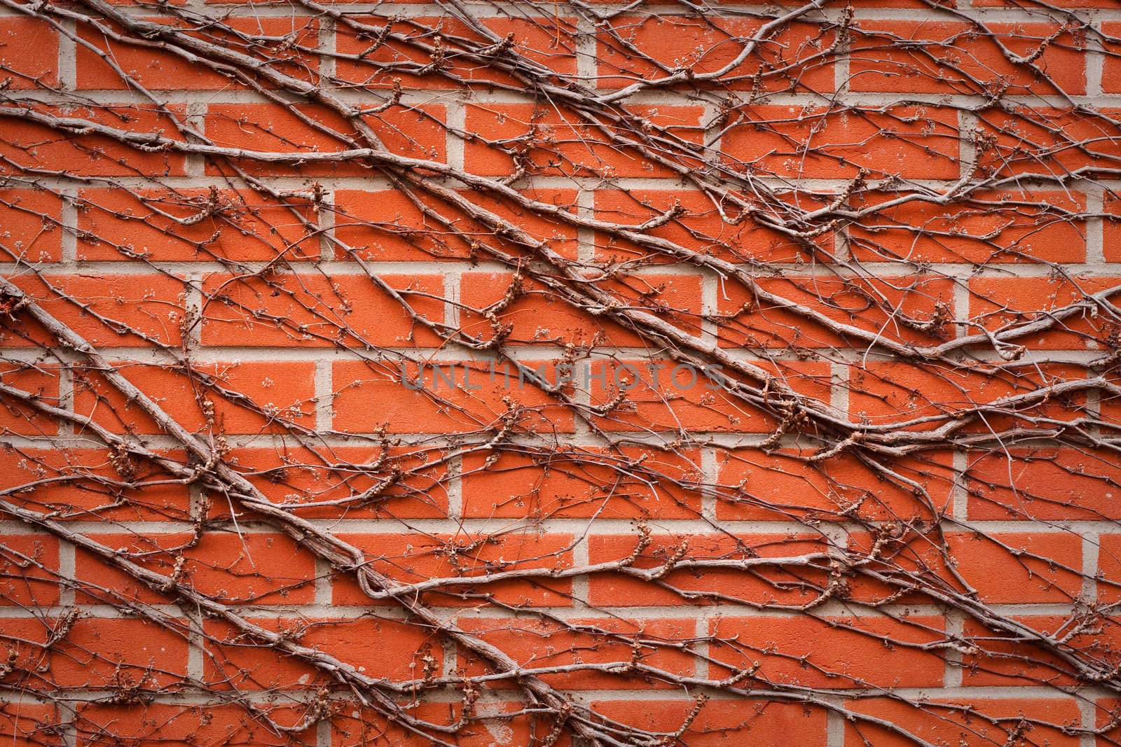 brick wall background