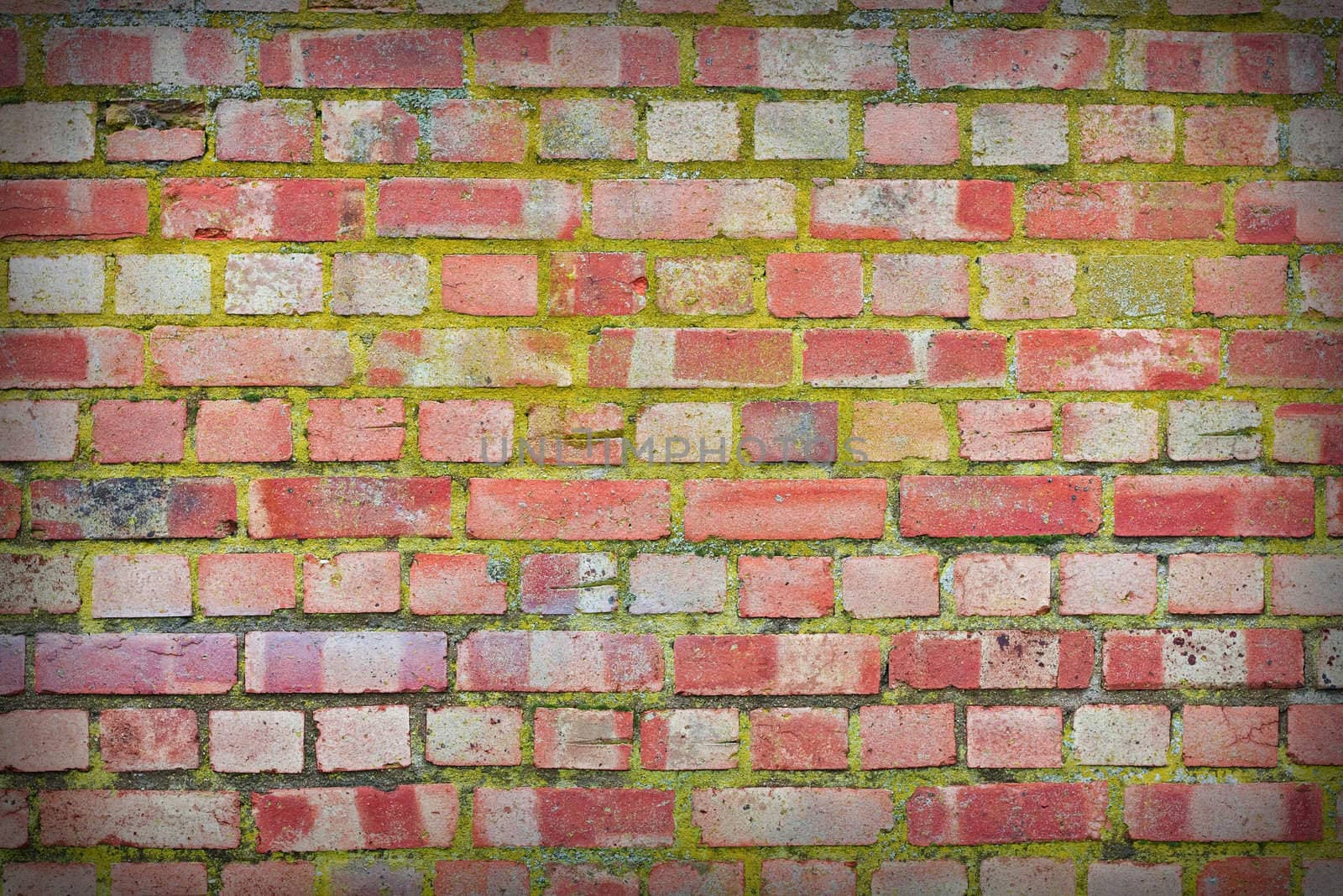 brick wall background