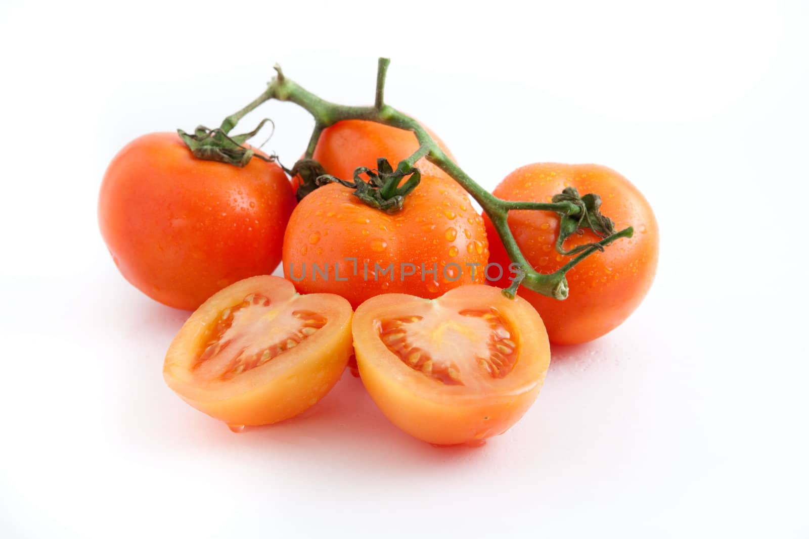 fresh vine tomatoes on white