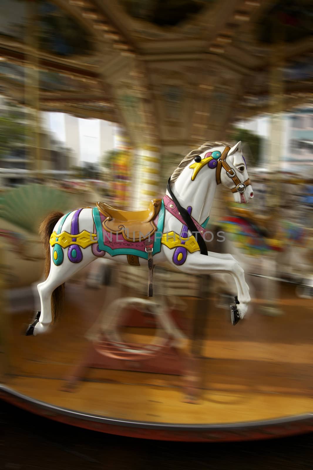 Carousel Horse, fairground and a merry go round rides