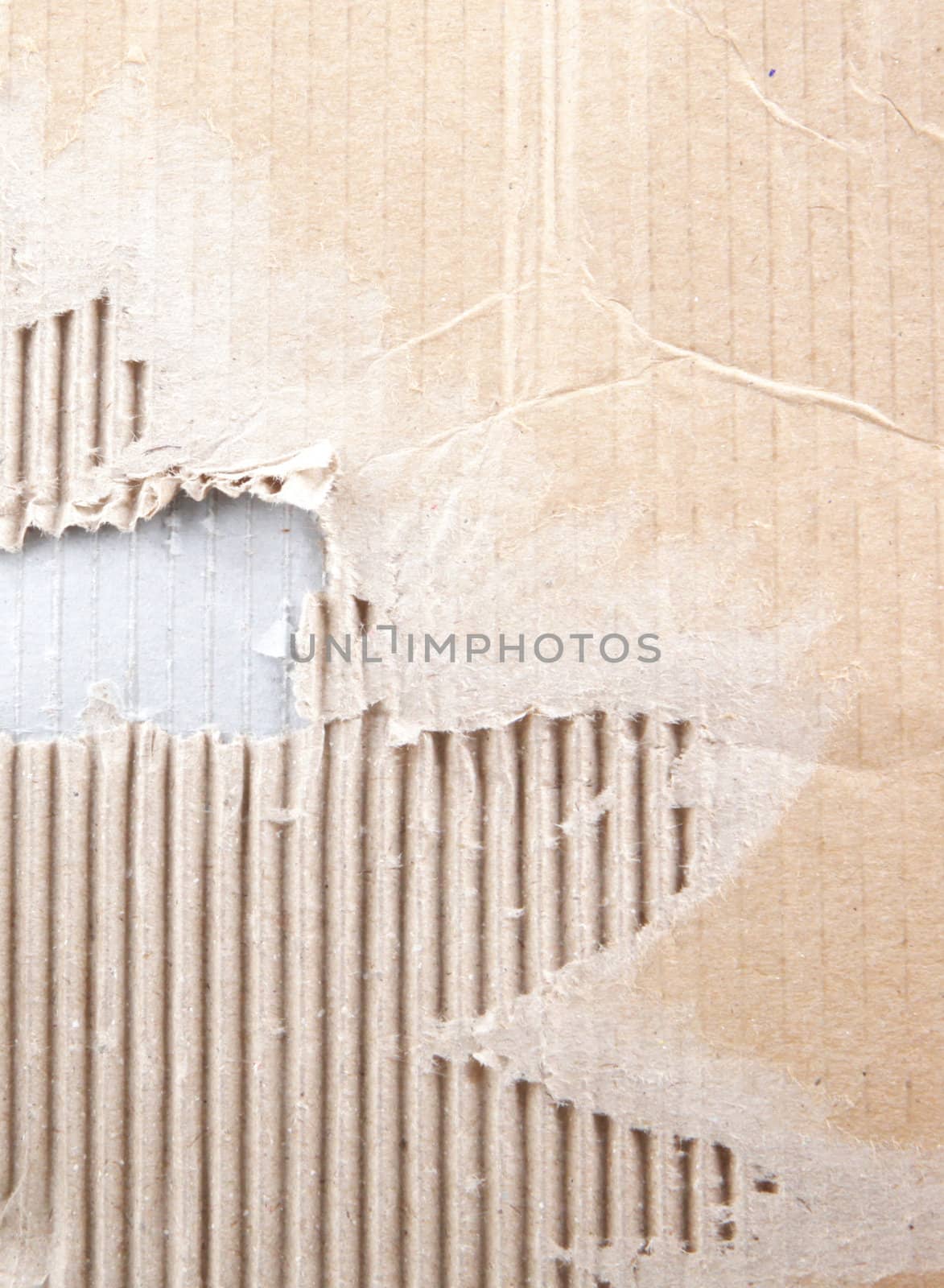 Corrugated cardboard.