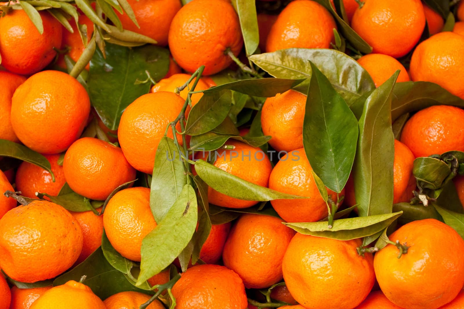 fresh satsumas as background