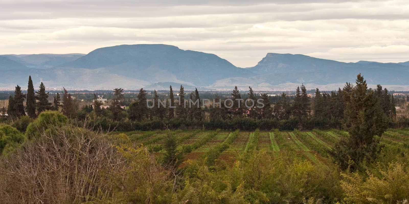 moroccan landscape by trgowanlock