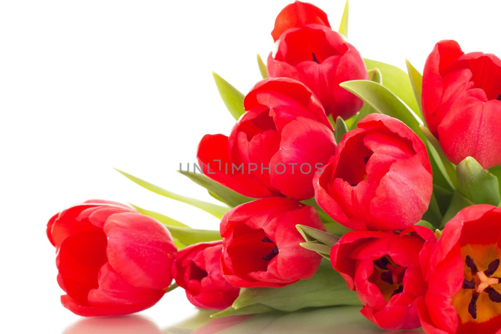 Bunch of tulips