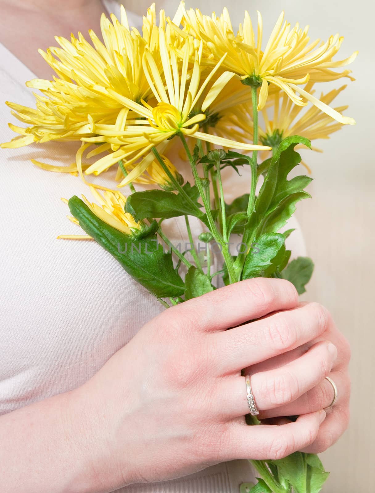 hand holding chrysanthemum