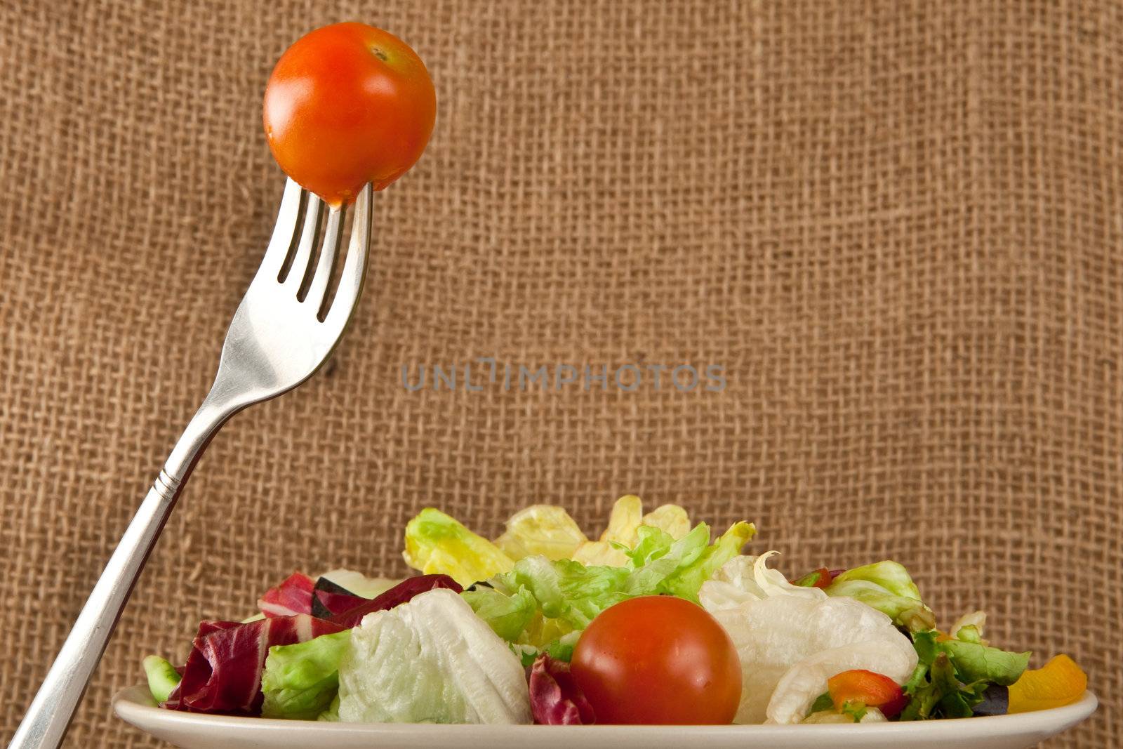 salad on hessian
