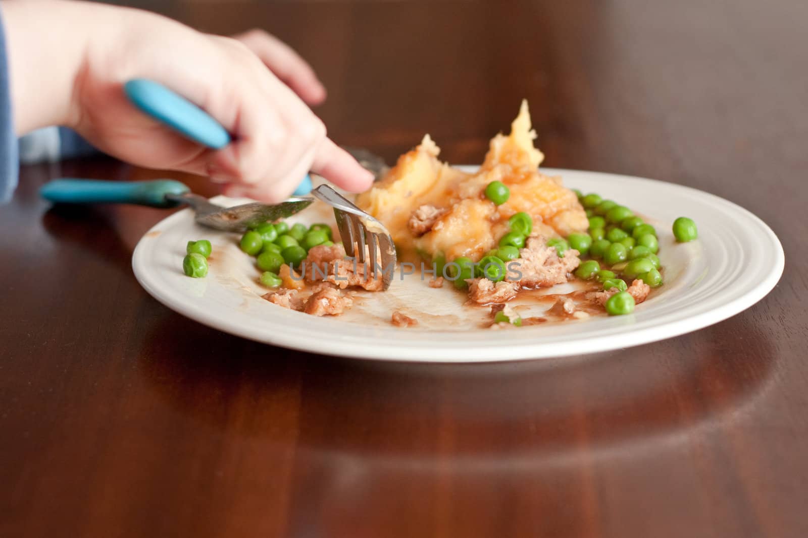 child eating a meal