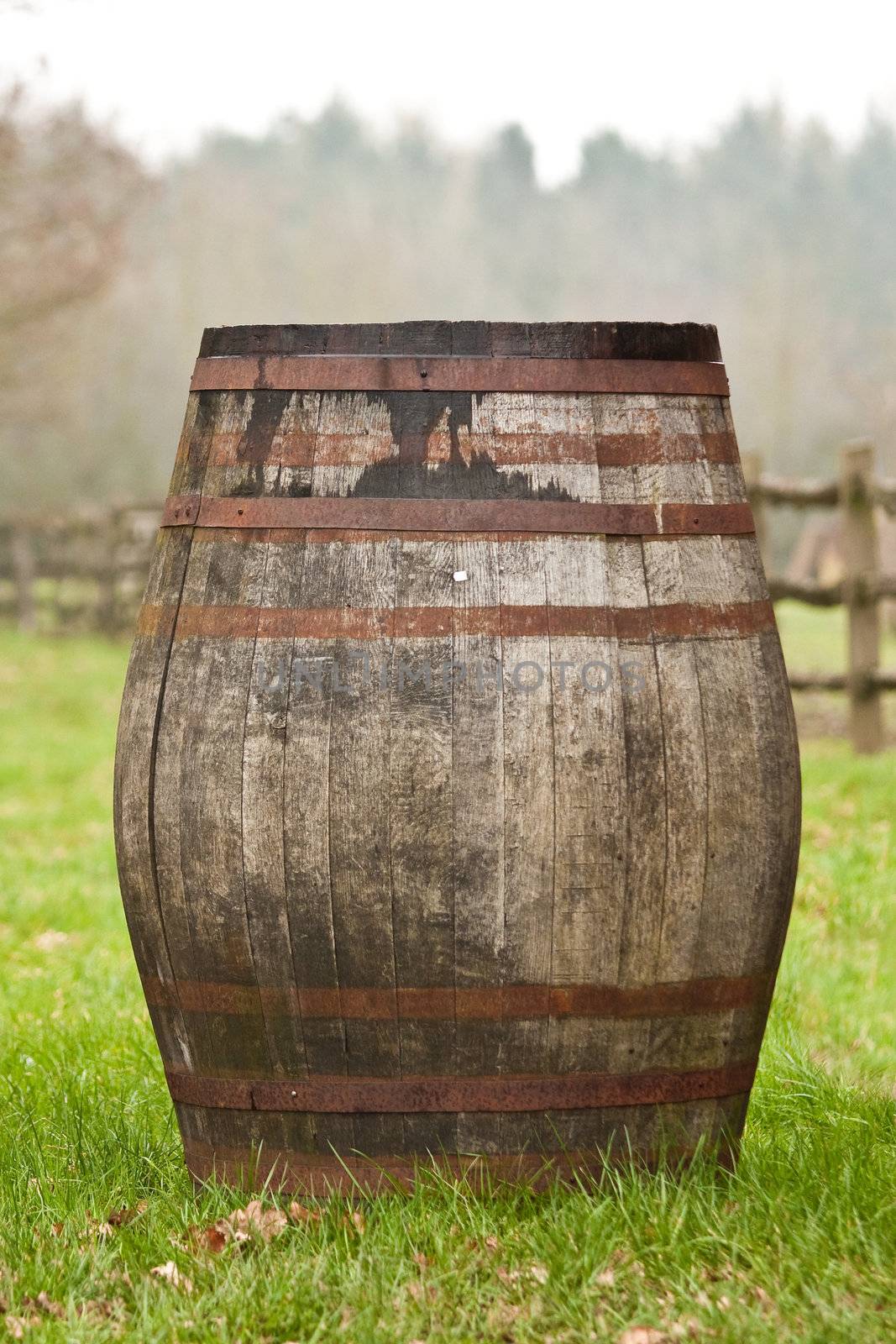 barrel by trgowanlock