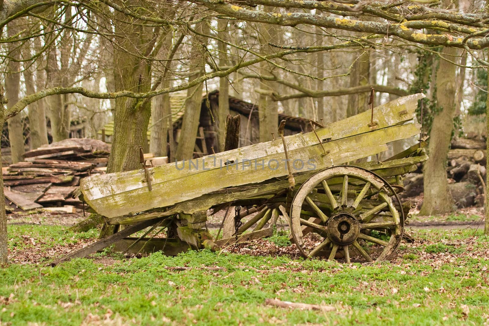 old wooden cart