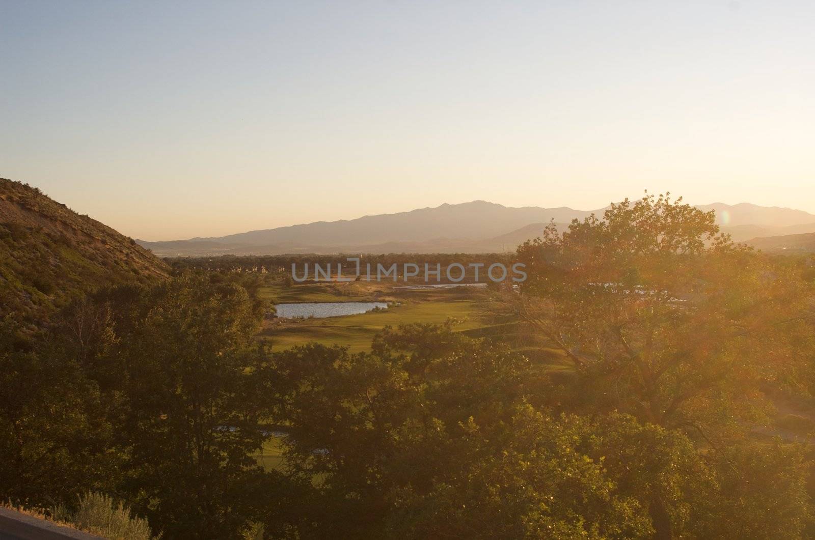 looking down on golf course over the top of trees and foliage with bright sunshine from the side