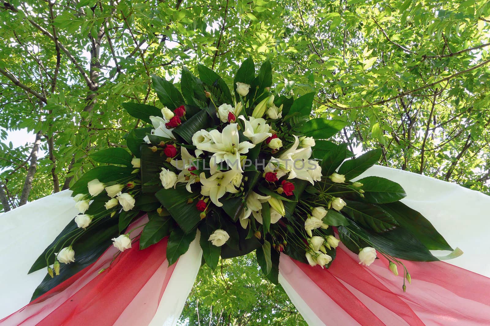 Flowers on an arch for wedding by lavina