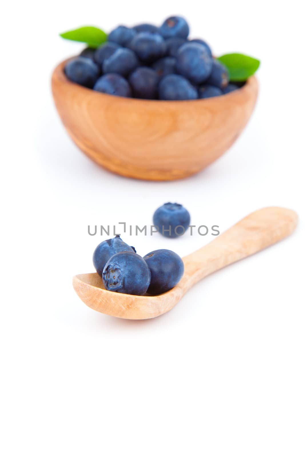 fresh blueberry in a wooden spoon, over a white background.