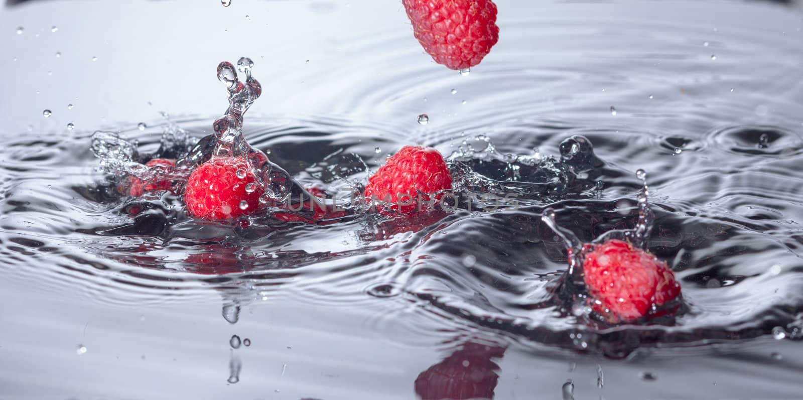 Red Raspberries Dropped into Water with Splash, closeup