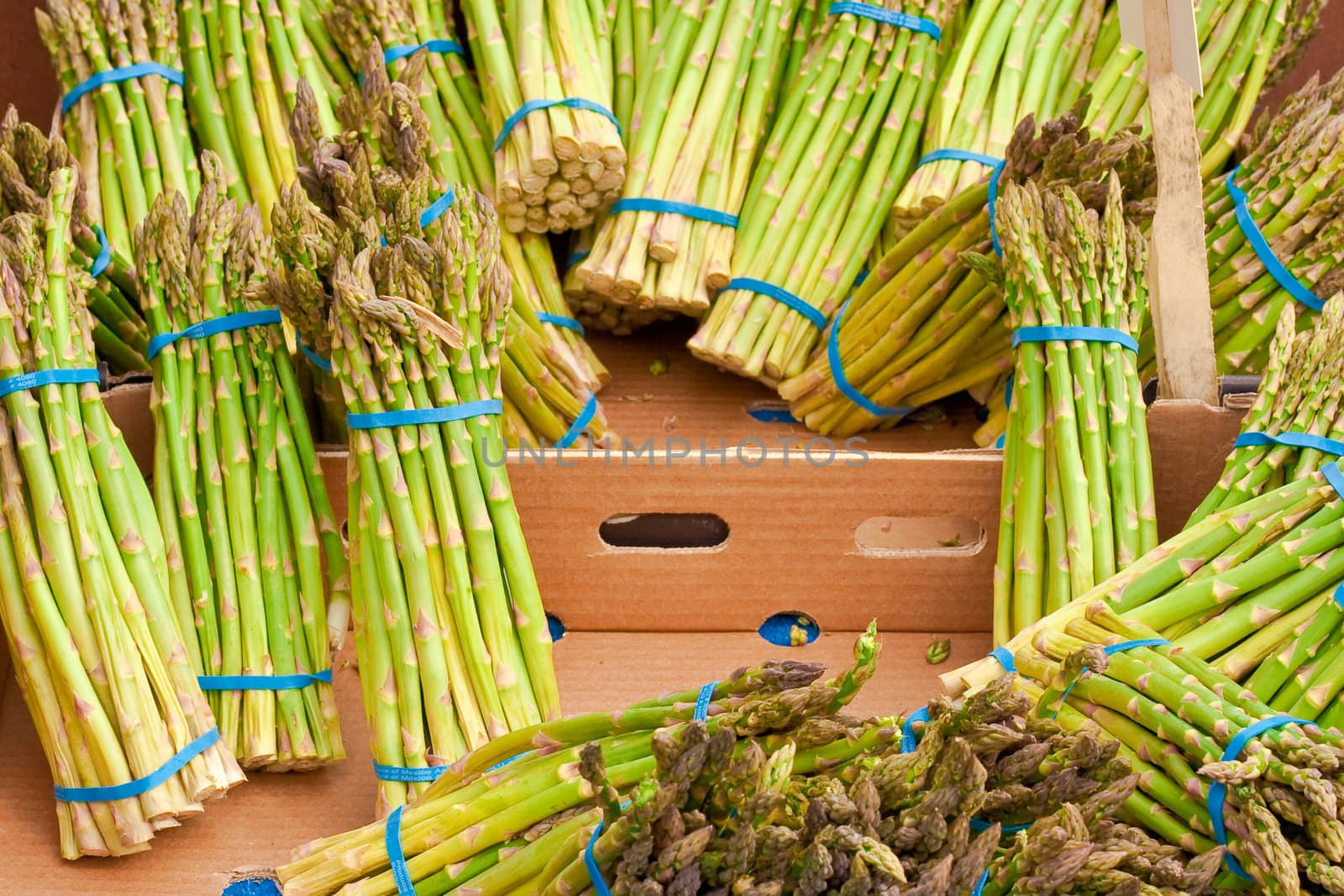 fresh asparagus