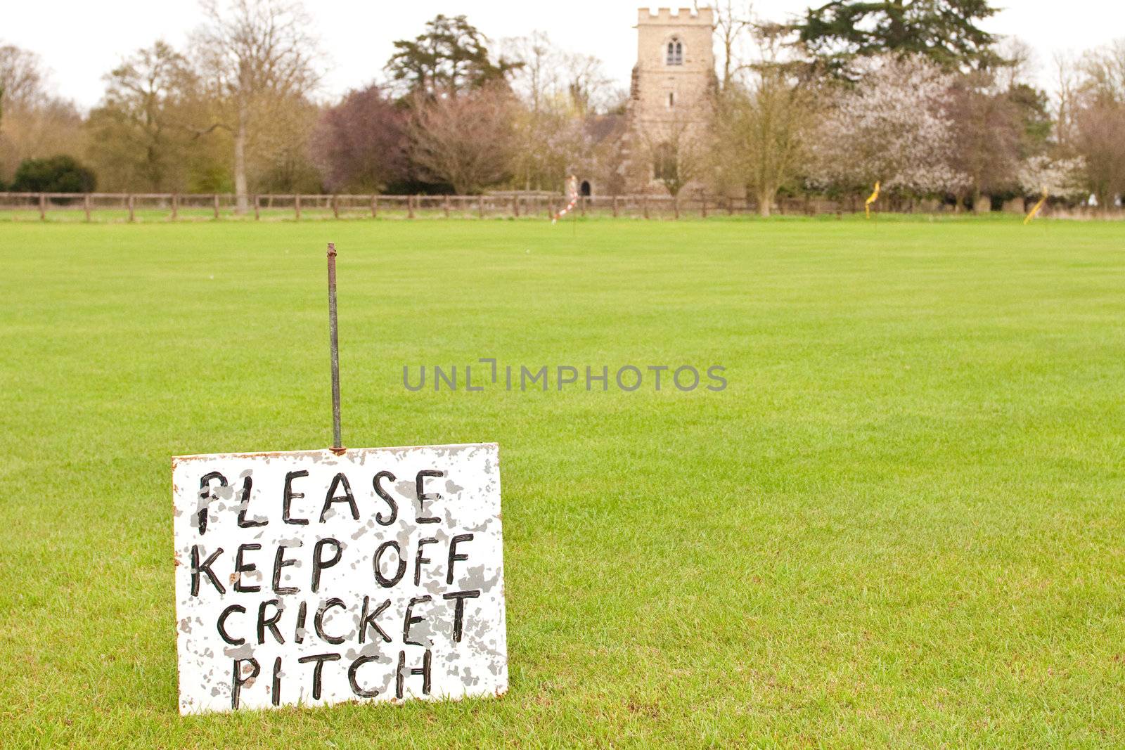 cricket green sign