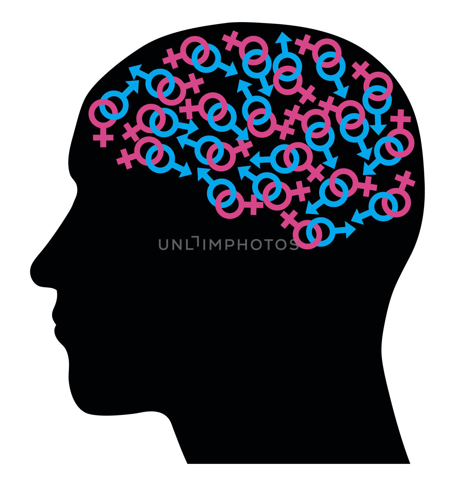 Head silhouette with  interlinked male and female symbols. Concept. Vector illustration