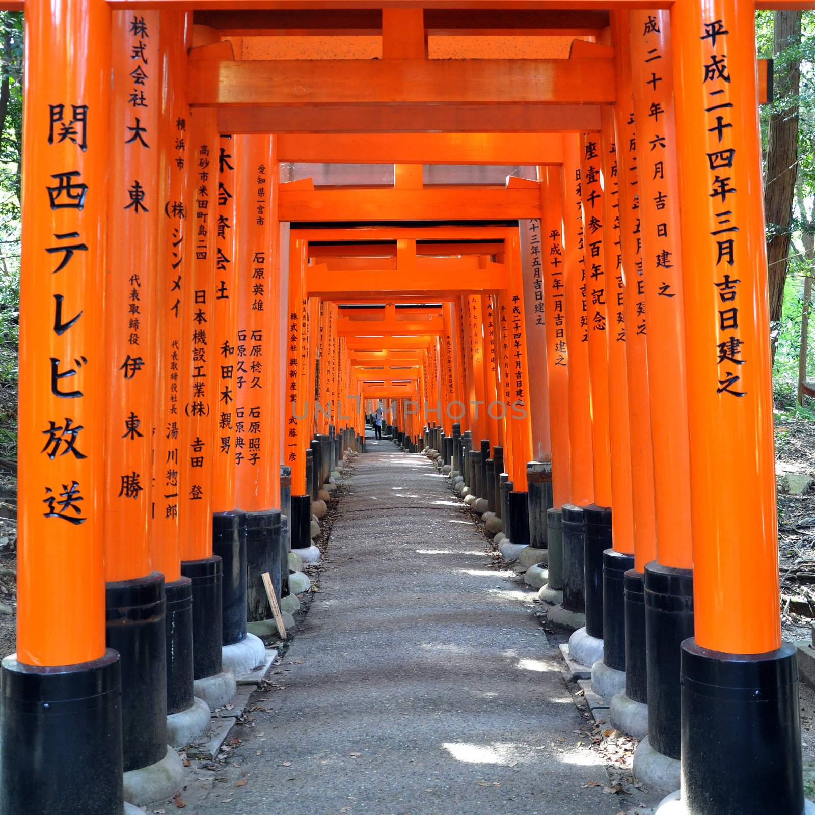 Fushimi Inari Taisha Shrine in Kyoto, Japan  by siraanamwong