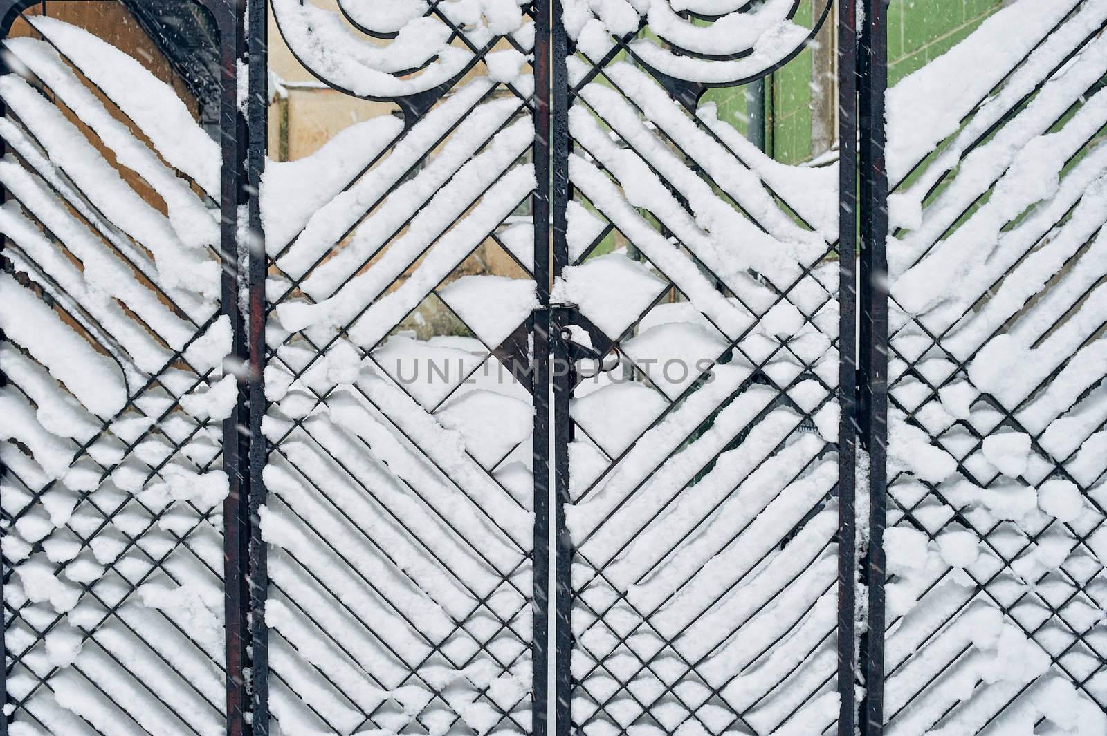 Cast iron gate in Art Nouveau style in snow