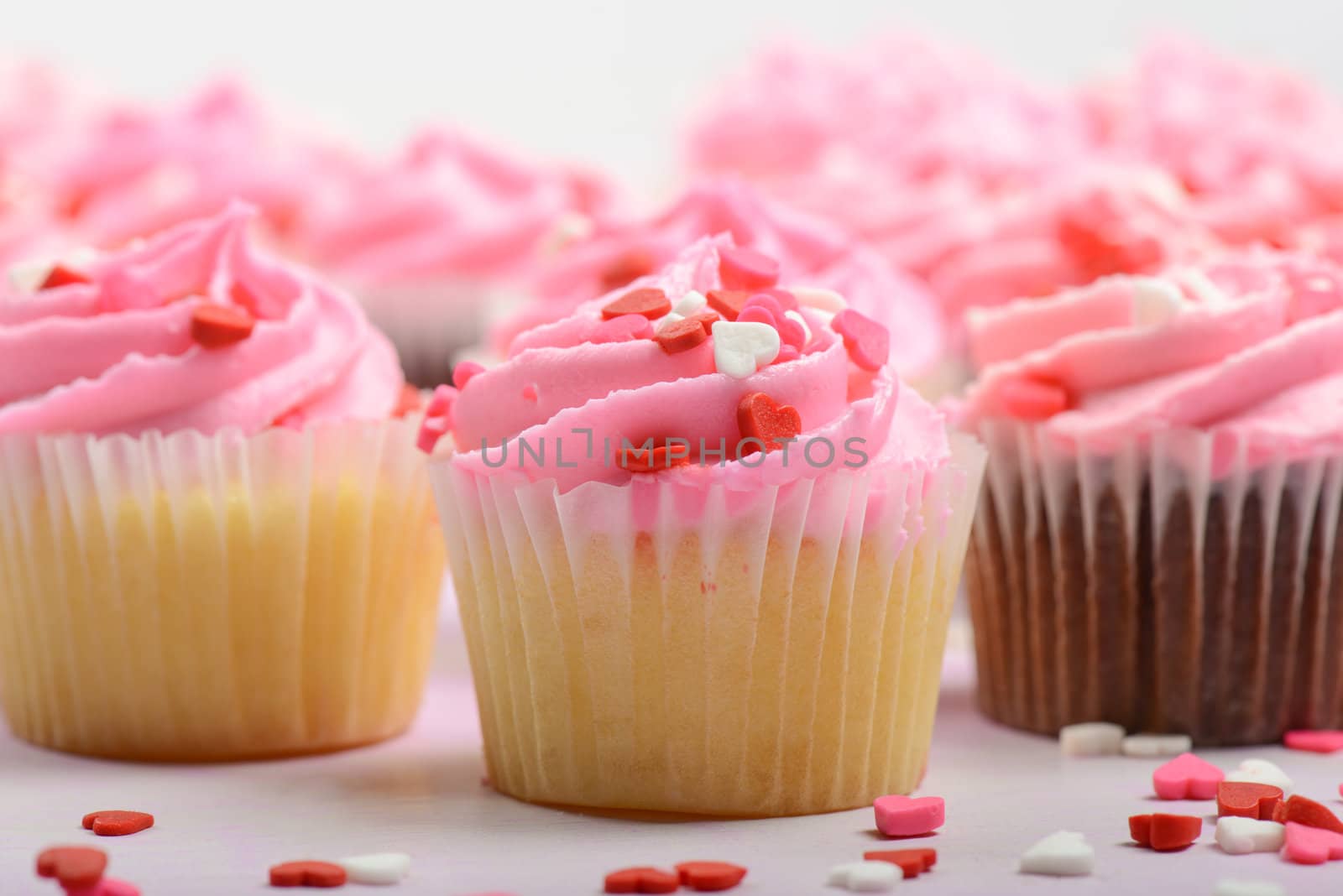 Pink Cupcakes Close Up