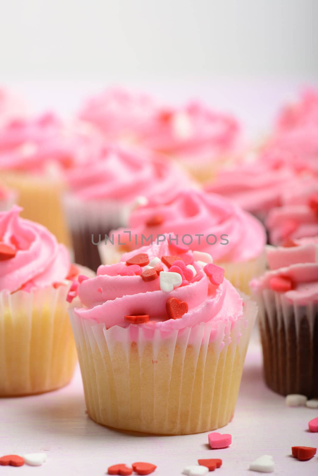 Pink Cupcakes Close Up