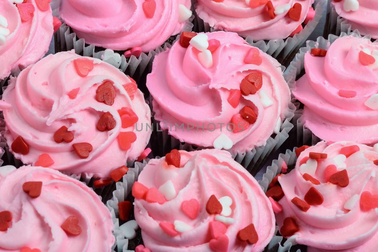 Pink Cupcakes Close Up by bbourdages